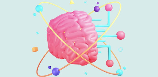 What is "Brain Plasticity" and what is its role in the learning process?