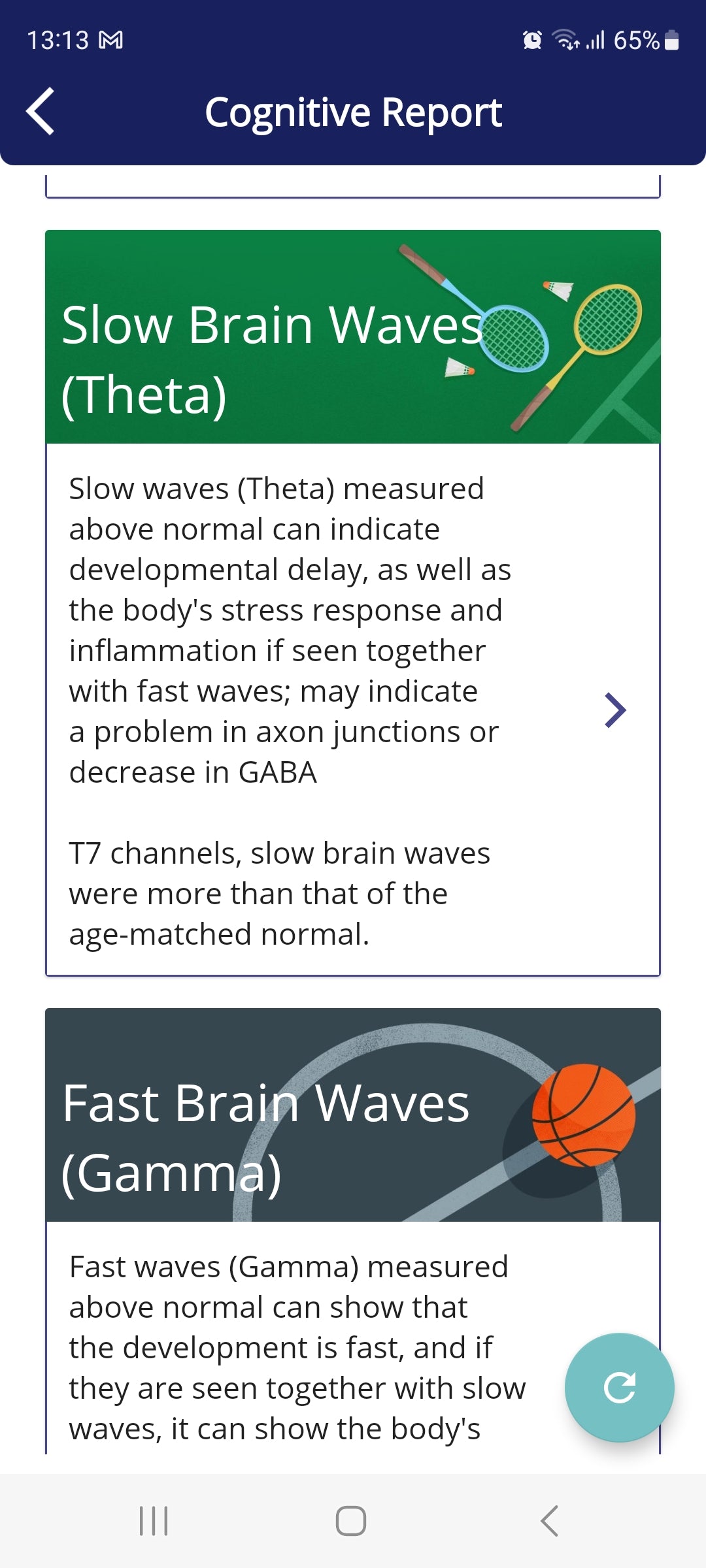 Wellness Domestic- Auto Train Brain Software Subscription 6 Months autotrainbrainen