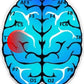 Dyslexia SMALL Domestic- Auto Train Brain Software Subscription 3 Months autotrainbrainen